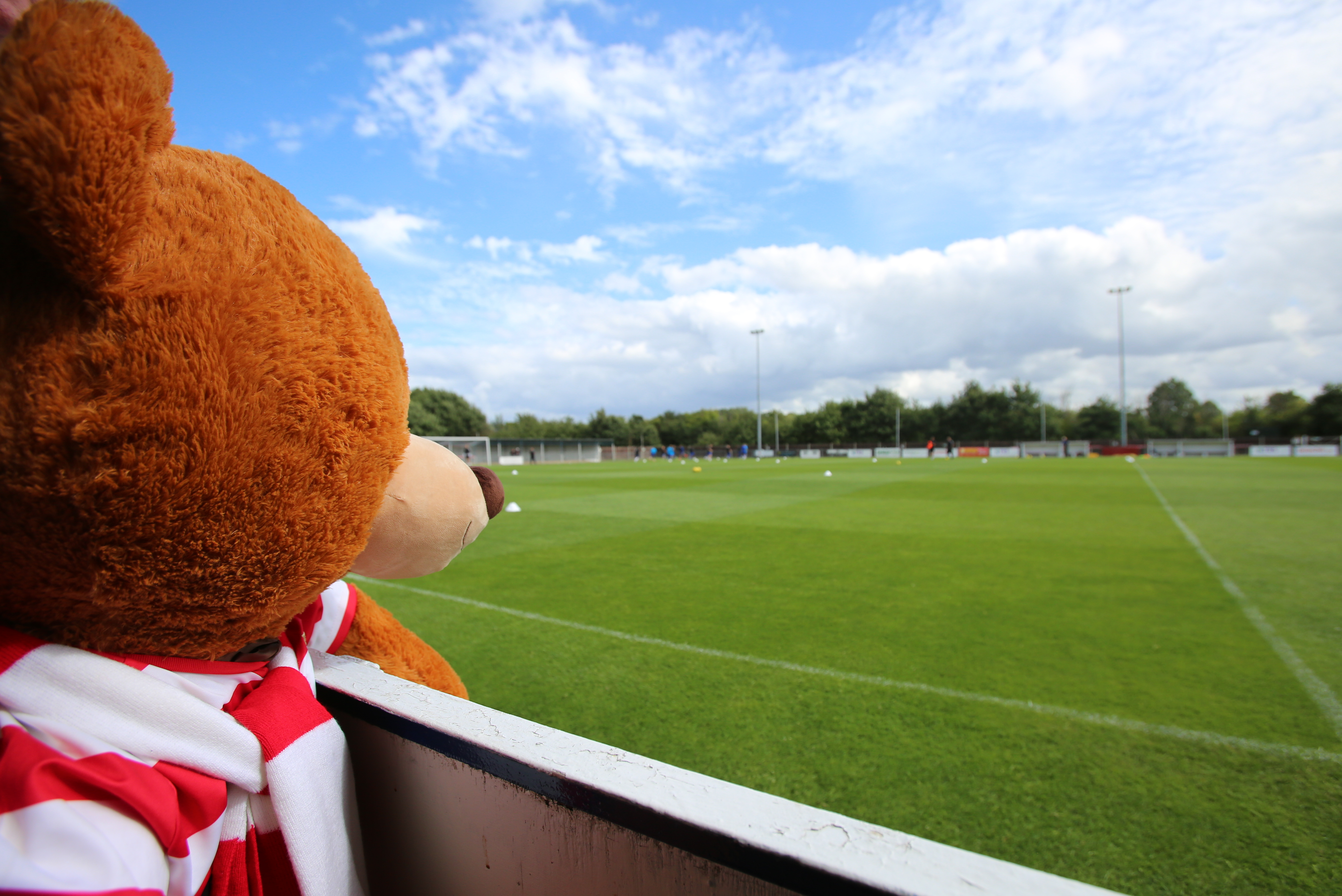 That might be next season's programme front cover sorted out...