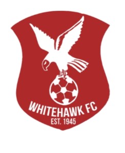 Whitehawk (badge to end 2018-19)